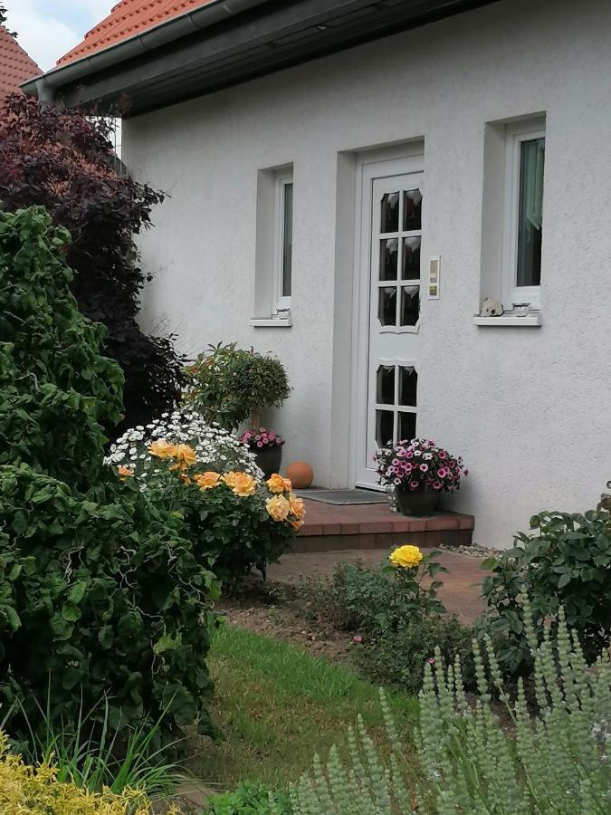 Appartement Fam. M.Lehmann Heringsdorf  Exteriör bild